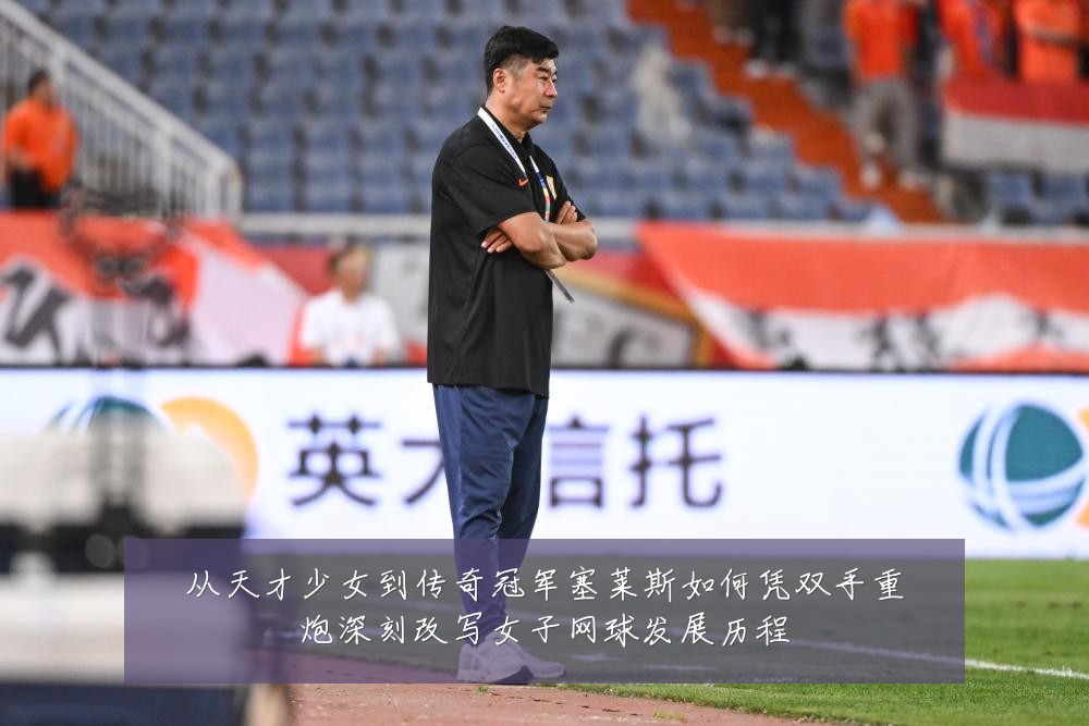 从天才少女到传奇冠军塞莱斯如何凭双手重炮深刻改写女子网球发展历程