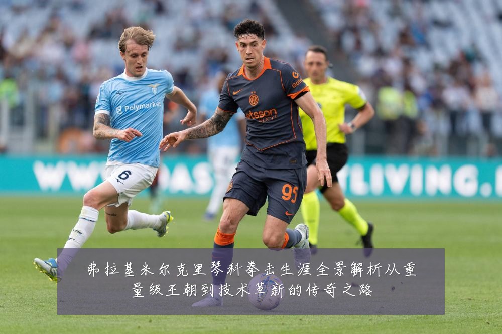 弗拉基米尔克里琴科拳击生涯全景解析从重量级王朝到技术革新的传奇之路